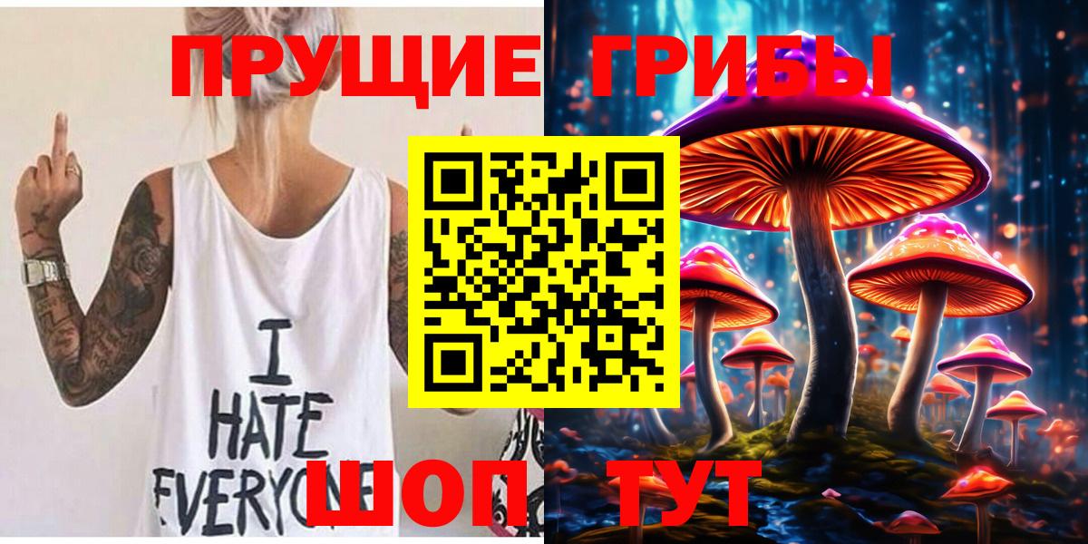 наркошоп  Псилоцибиновые грибы Psilocybine cubensis  Вход с VPN  Новоалександровск 