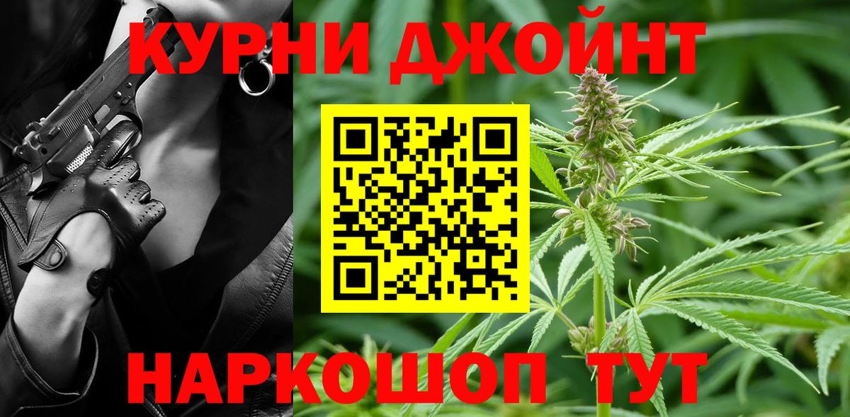 Каннабис конопля Новоалександровск